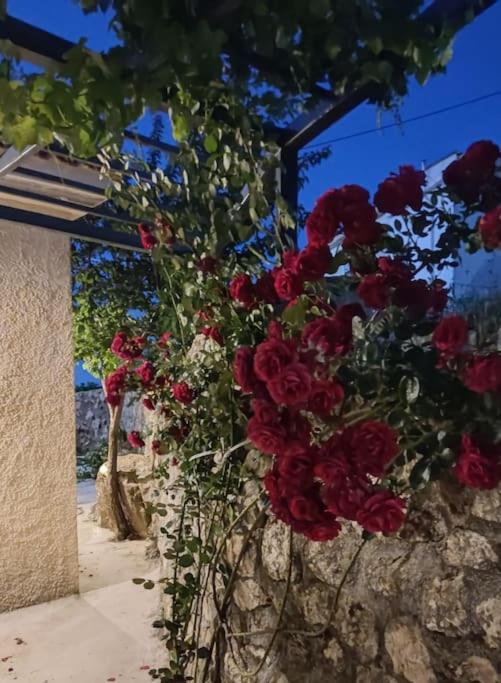 Villa Aiolia Kondoyenádha Buitenkant foto